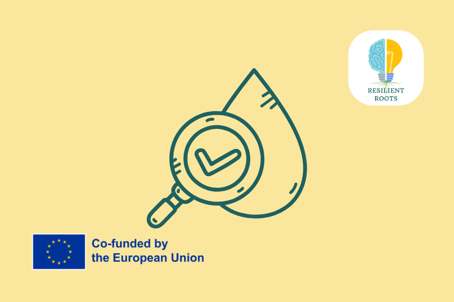 Competenze di ricerca: impara a raccogliere, analizzare e utilizzare le informazioni per supportare il processo decisionale in materia ambientale